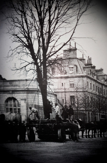 0321.jpg_effected-001.jpg
