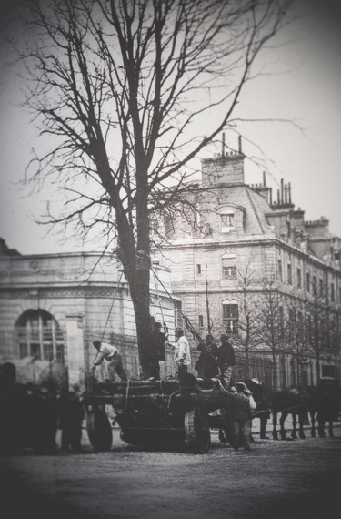 0321.jpg_effected-001.jpg