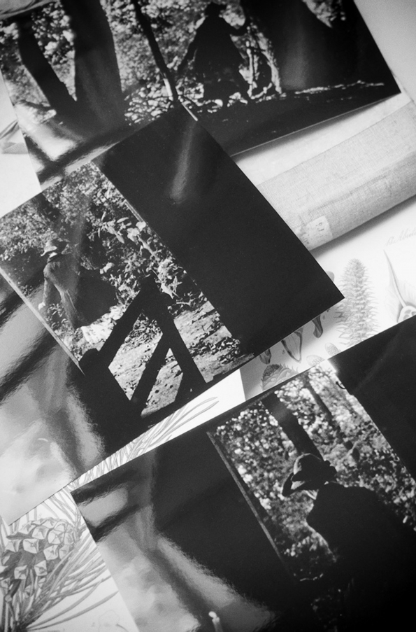 0205a.jpg_effected-001.jpg